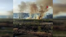 Ermenistan, Türkiye sınırındaki Ormanı bilerek ateşe verdi