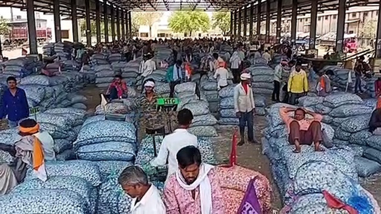 मंडी में हुई चार हजार कट्टे लहसुन की आवक, भाव में रह रही मंदी