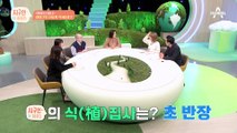 ★재테크의 신세계★ 주식이나 코인만큼 대세! 식물을 길러서 돈을 번다?!