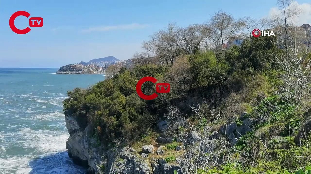 Zonguldak'ta 21 yaşındaki genç kadın, ağaca asılı halde ölü bulundu