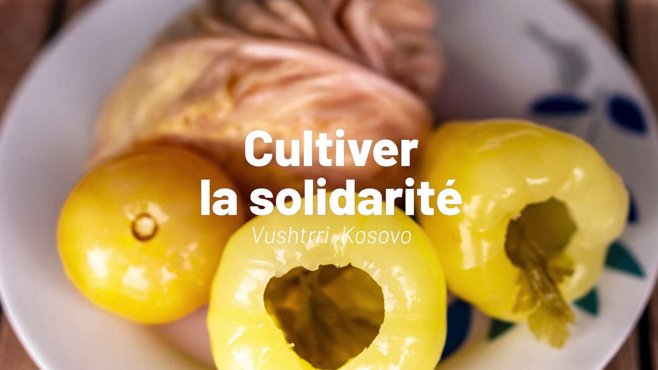 Au Kosovo, on cultive la solidarité