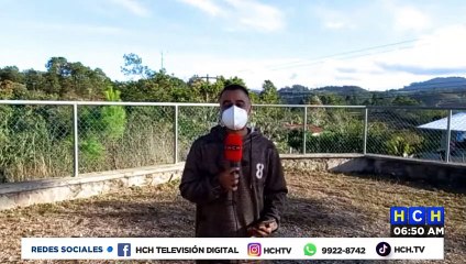 Con machete ultiman a joven en aldea La Danta, El Rosario, Comayagua