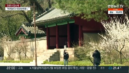 대학가 축제 재개 기대감…서울광장도 시민 품으로