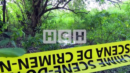 Muerto hallan a joven en potrero de col. Reparto Lempira #MóvilSPS