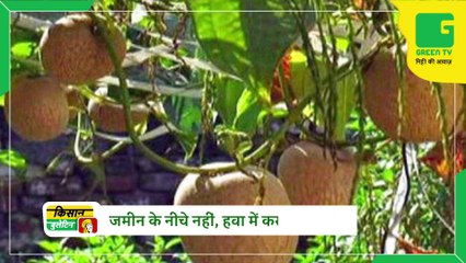 Kisan Bulletin - Skymet ने जारी किया Monsoon 2022 का पूर्वानुमान, इन राज्यों में होगी सामान्य से ज्यादा बारिश | Green TV