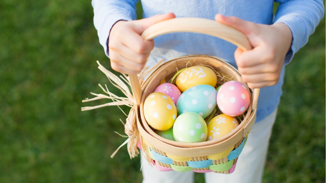 Dürfen bunte Eierschalen auf den Kompost? video Dailymotion