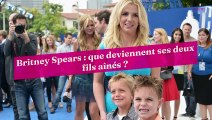 Britney Spears : que deviennent ses deux fils aînés ?