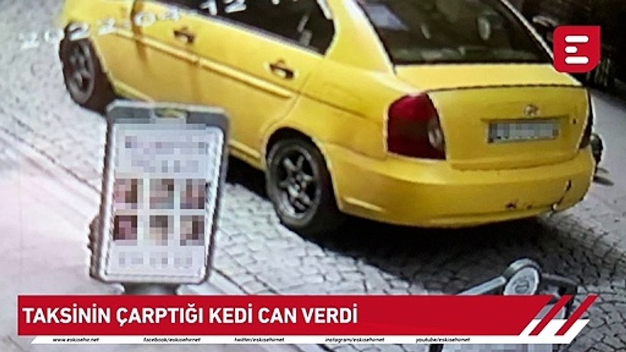 Afife Nur Yıldız İle Haber Sekiz