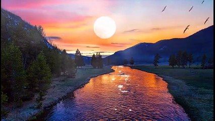 Oração da noite .Gratidão