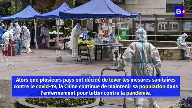 Coronavirus en Chine : à Shanghai, la population se rebelle contre le confinement strict