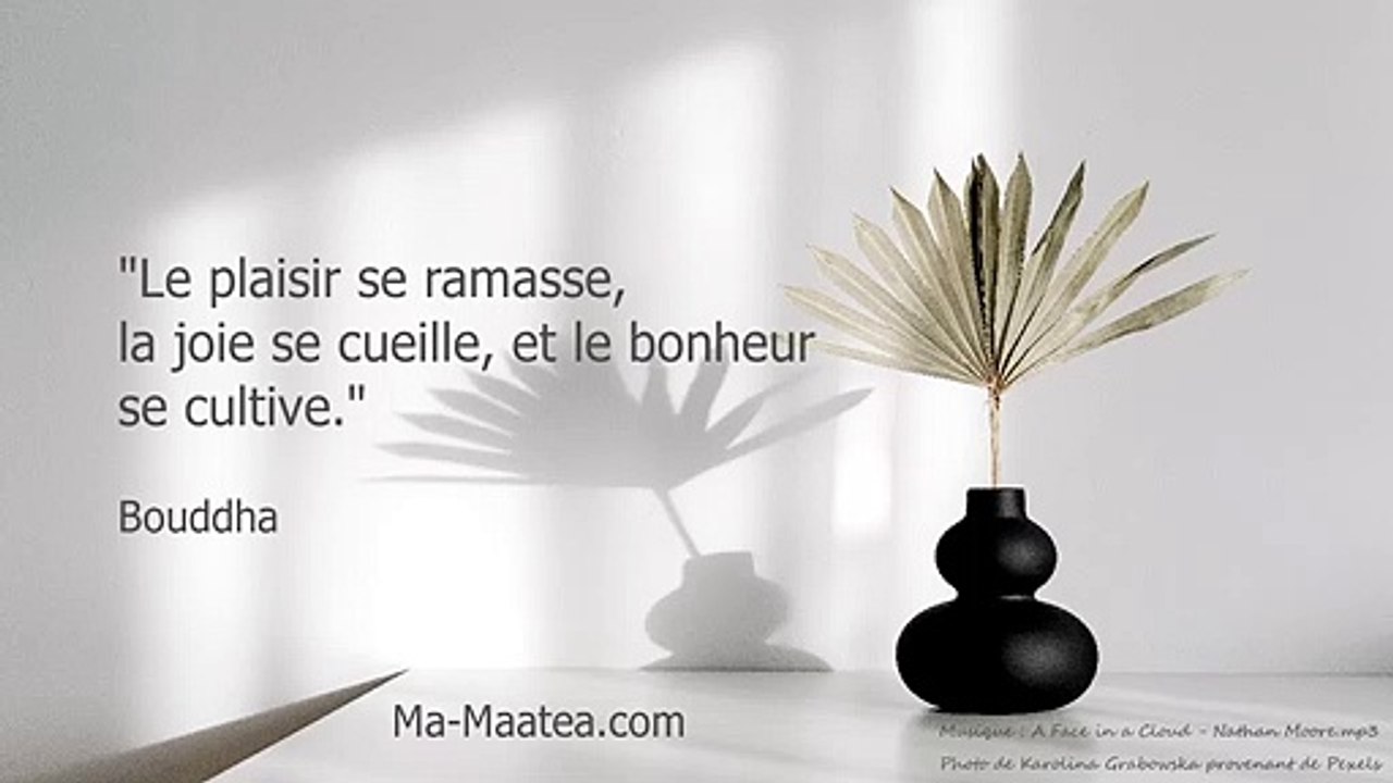 Pensée Inspirante N°1