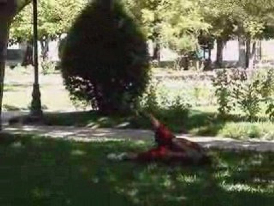 Foot garden