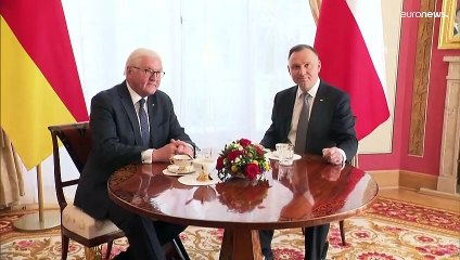 Zelenski rehúsa reunirse con el presidente alemán aduciendo sus nexos con Rusia