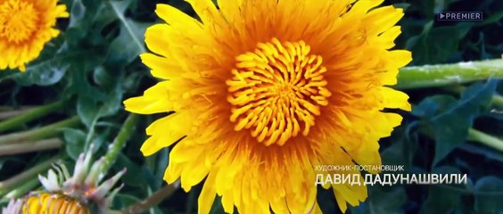 Здравствуйте, вам пора! - 4 серия