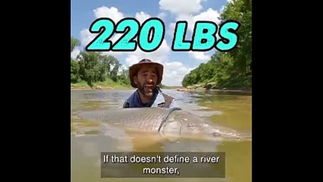 Alligator gar -largest species in Fish