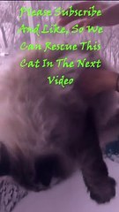 Oh, The Humanity! :/