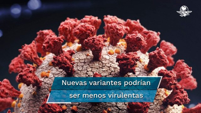 Esto se espera de las nuevas variantes XD, XE y XF del Covid-19