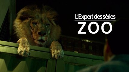 Zoo (TF1) : "une synthèse entre Les Oiseaux d'Hitchcock et Plus belle la vie" selon L'Expert des séries