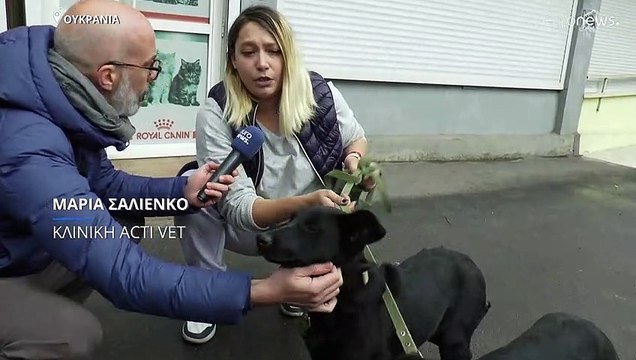 Πόλεμος στην Ουκρανία: Μια ζεστή αγκαλιά για «ορφανά» κατοικίδια