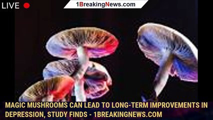 Magic mushrooms can lead to long-term improvements in depression, study finds - 1breakingnews.com