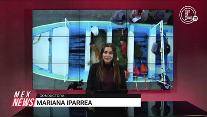 "CDMX Y EDOMEX APORTARON 20% DE LOS VOTOS PARA REVOCACIÓN": SHEINBAUM