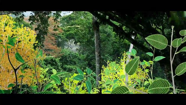 Il était une forêt Bande-annonce VF