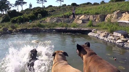 Et maintenant ? Bande-annonce VO