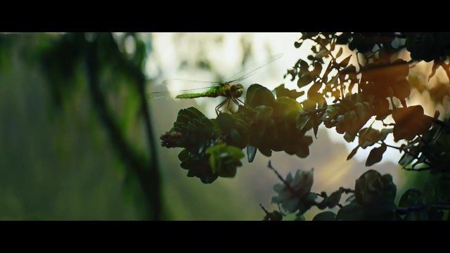 Kong : Skull Island Bande-annonce VOST