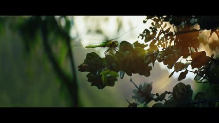 Kong : Skull Island Bande-annonce VOST