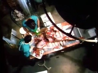 Re-Animator 2 Bande-annonce VO