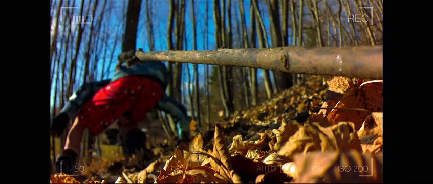 Tout là-haut Bande-annonce VF