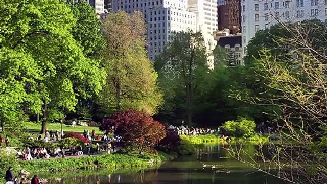 Scatter My Ashes at Bergdorf's Bande-annonce VO