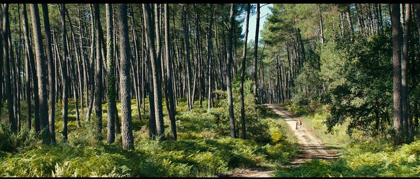 Thérèse Desqueyroux Bande-annonce VF