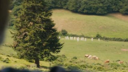 Un Village Presque Parfait (bande-annonce)