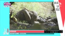 Eaten Alive - Le Grand 8 diffuse les image de l'homme avalé vivant par un anaconda