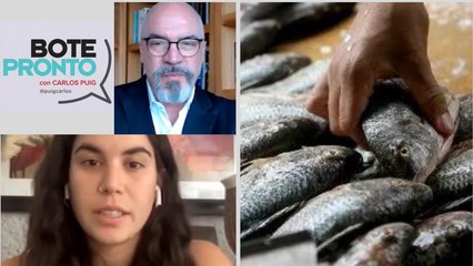 Nos están estafando como consumidores de pescado: Mariana Aziz | Bote Pronto