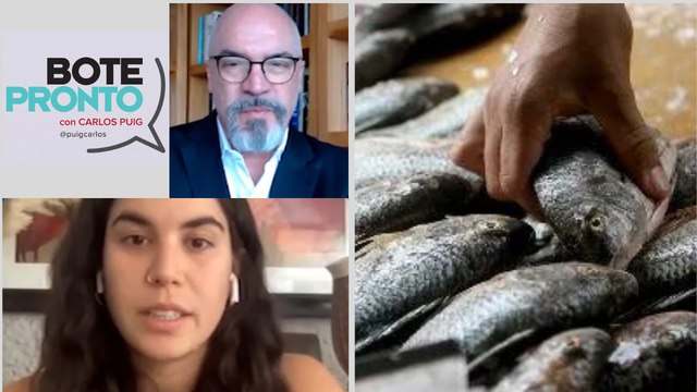 Nos están estafando como consumidores de pescado: Mariana Aziz | Bote Pronto