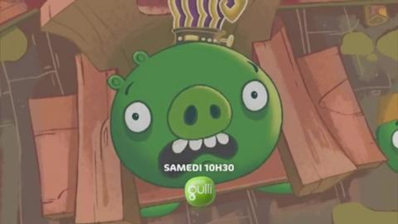Angry Birds (Gulli)