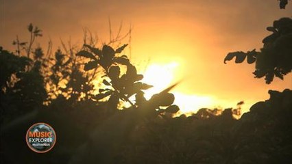 Music explorer, les chasseurs de sons : Extrait (France Ô)