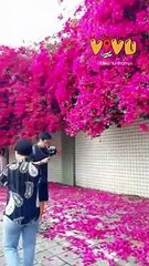 Ngỡ ngàng trước dàn hoa giấy 'sống ảo' cực lung linh đang HOT nằm ngay sát Hà Nội