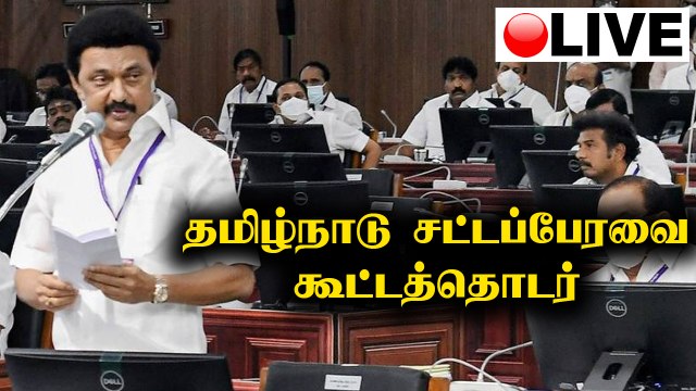 LIVE: தமிழ்நாடு சட்டப்பேரவை கூட்டத்தொடர் - மீன்வளம், கால்நடை மற்றும் பால்வளத் துறை மானிய கோரிக்கை