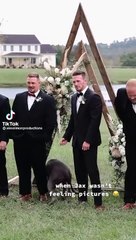 Chú chó bỏ đám cưới của chủ đi bơi