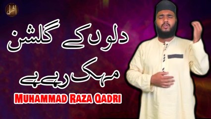 Dilon Ke Gulshan Mehak Rahe Hain | Naat | Muhammad Raza Qadri | HD Video