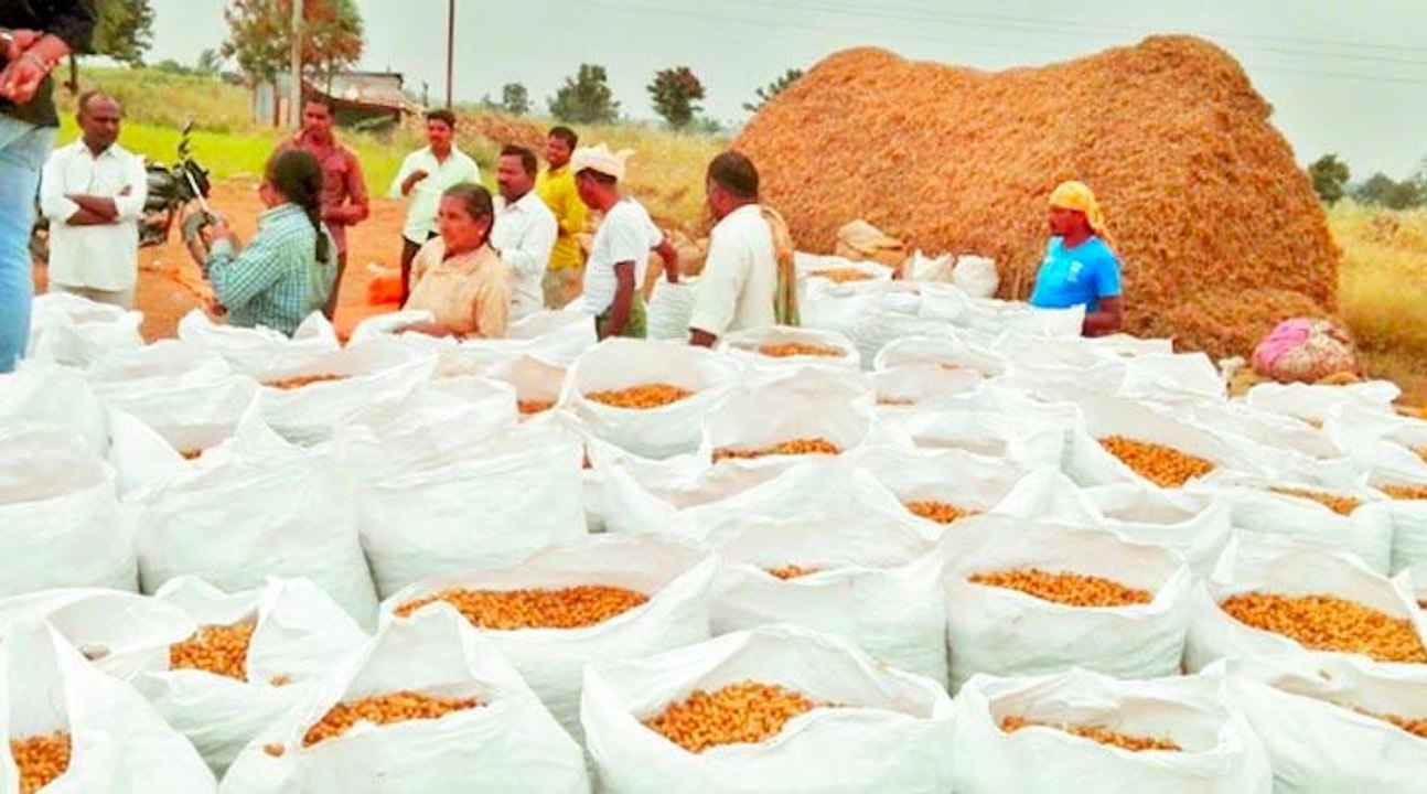 Telangana: CM KCR decision On Paddy Procurement | Pragathi Bhavan | Oneindia Telugu