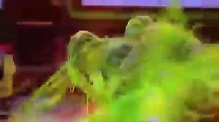 Justin Bieber aspergé d'un liquide vert gluant aux Kids' Choice Awards