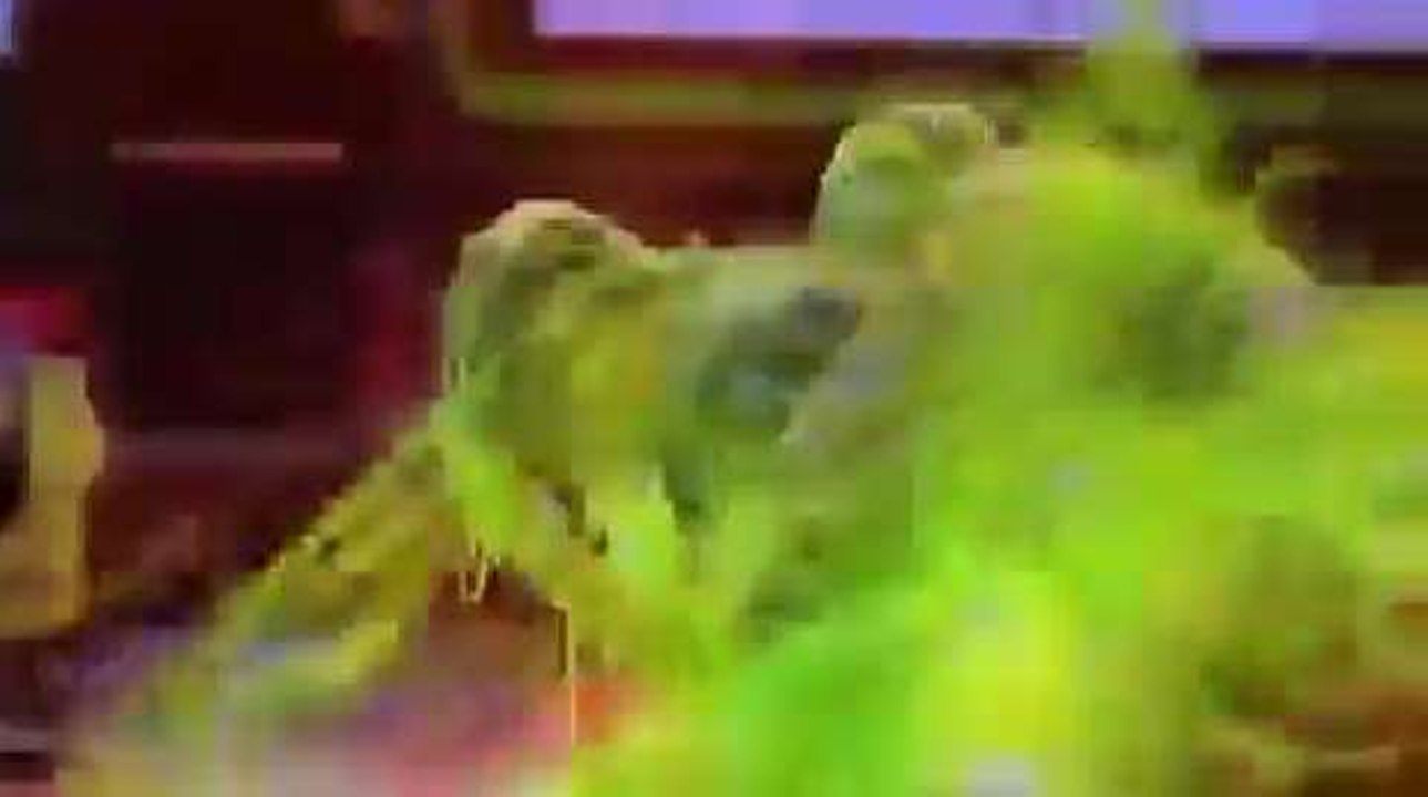 Justin Bieber aspergé d'un liquide vert gluant aux Kids' Choice Awards