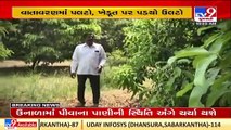 Bad weather destroys mango crops in Valsad ,farmers worried _Gujarat _TV9GujaratiNews