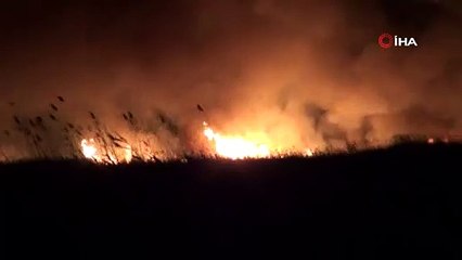 Göksu Deltası'nda yangın