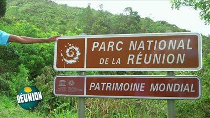 Le teaser des Îles d'en face, la nouvelle série de France Ô