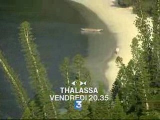 Bande-annonce : Thalassa, Nouvelle-Calédonie